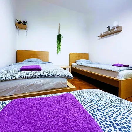 Family & Group Flat With Terrace Near Main Station 布尔诺