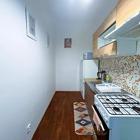 Family & Group Flat With Terrace Near Main Station Apartment Brno